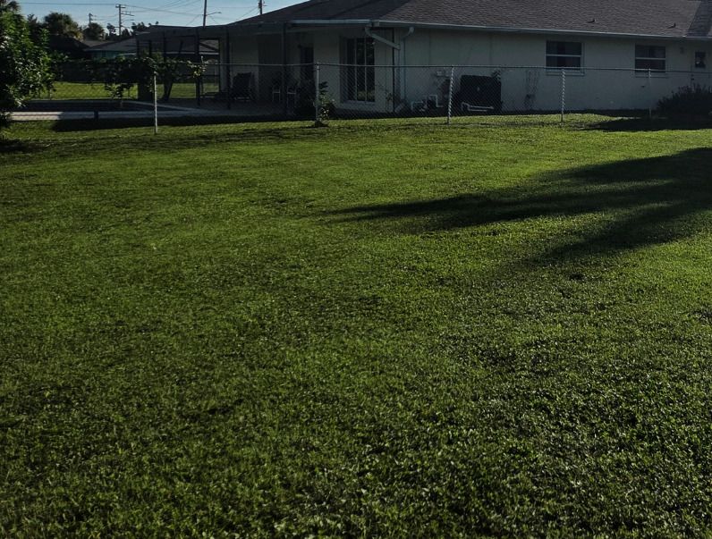 Freshly mowed local lawn with clean, even mowing lines